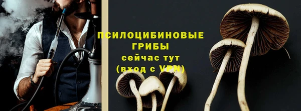 трава Балахна